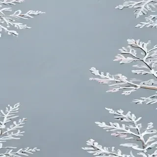 january background