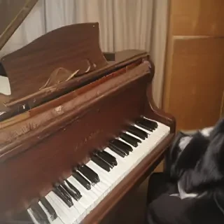 fur elise