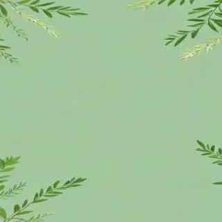 light sage green background