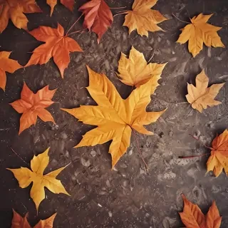 fall background iphone