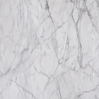 background white marble