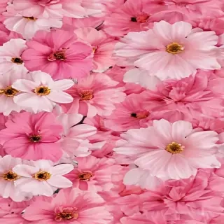 flower background aesthetic