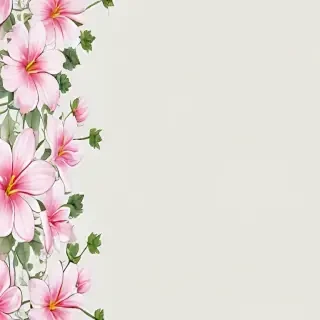 transparent flower border