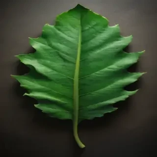 green leaf design