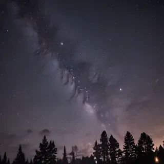 live wallpaper