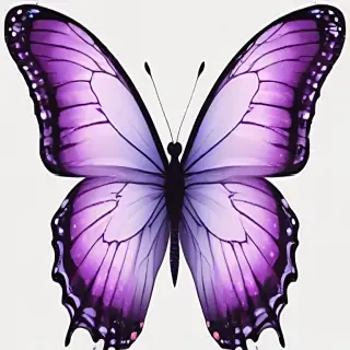 purple butterfly clipart