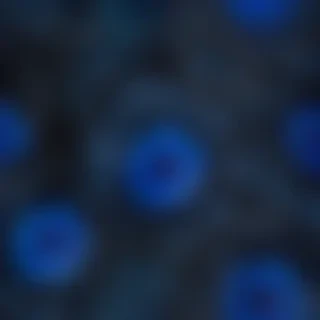 dark wallpaper blue