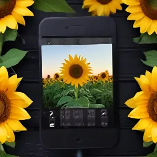 lock screen sunflower wallpaper