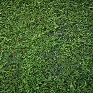 green textures