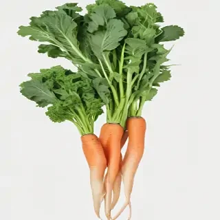 vegetables png