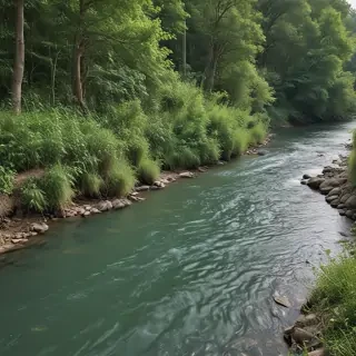 background river