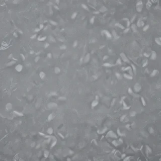 transparent background paper