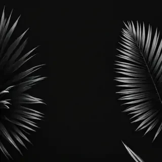 black aesthetic iphone wallpaper