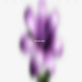 purple flower png
