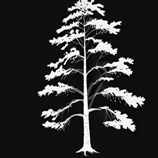 black and white pine tree clipart