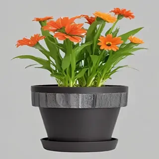 flower pot png