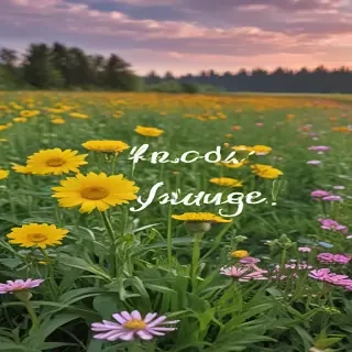 hello june images