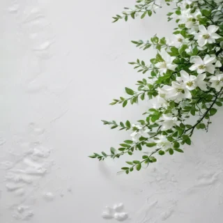white and green background