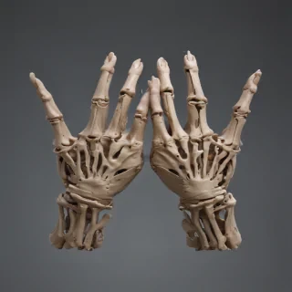 skeleton hands png