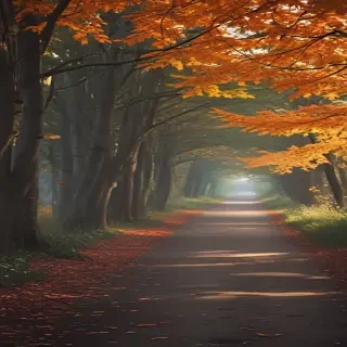 fall wallpaper