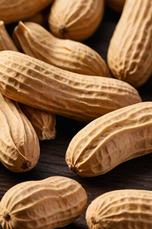 peanut png