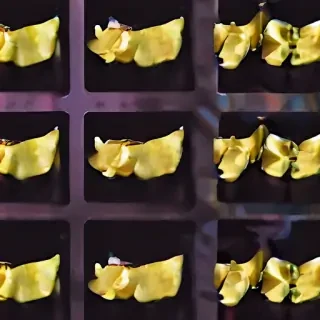 fortune