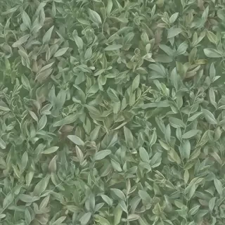 sage green photos