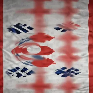 korea flag