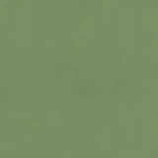 plain green bg