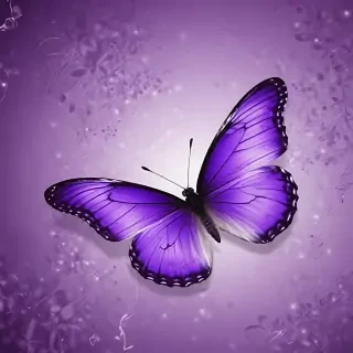 wallpaper purple butterfly