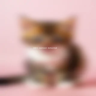 pussy cat