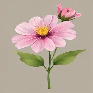flower clipart transparent