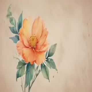 watercolor flower png
