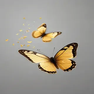butter flies png