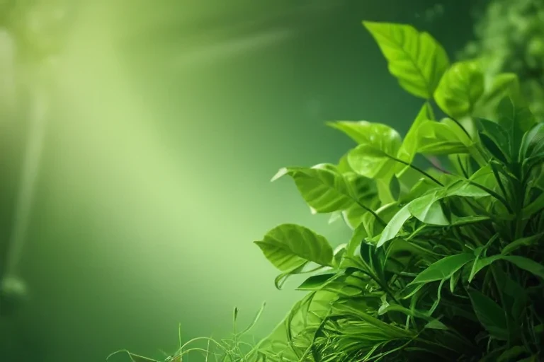 green wallpaper for iphone