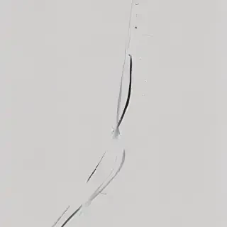 curve line png