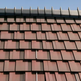 shingles images