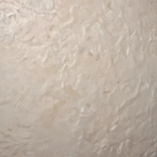 ripped paper texture