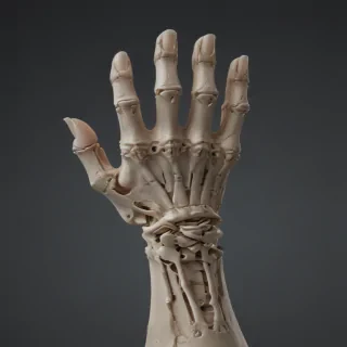 skeleton hand png