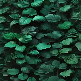 aesthetic background green