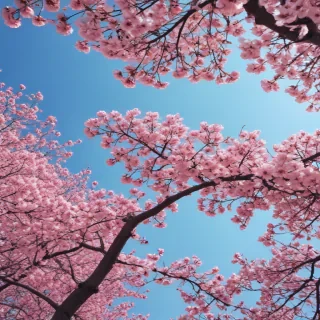 spring iphone background