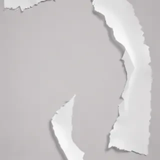 ripped paper transparent