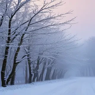 winter wallpaper iphone