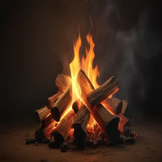 camp fire png