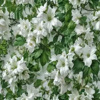 green and white background