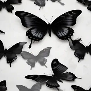 black butterfly wallpaper
