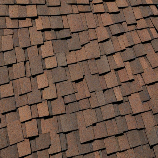 shingles images