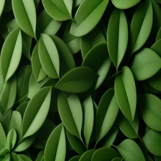 background green leaves