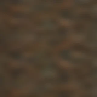 camo png