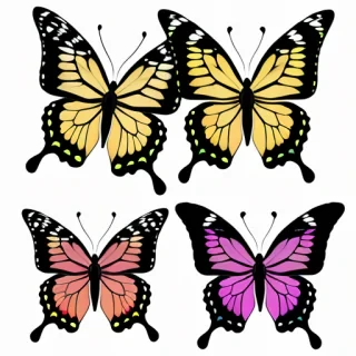butterfly images to draw